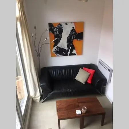 Tiny House Holland מלון Oudesluis (North Holland)