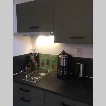 Tiny House Holland Oudesluis (North Holland)