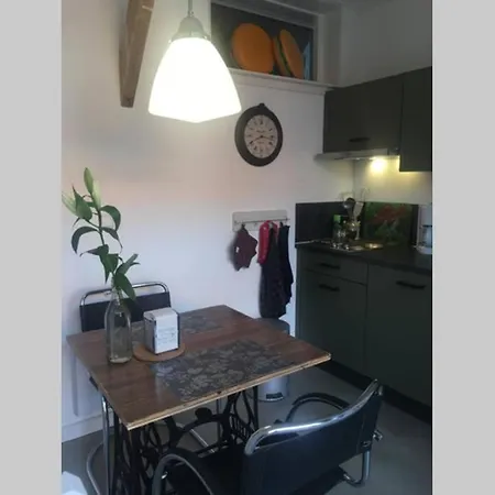 Tiny House Holland Oudesluis (North Holland)