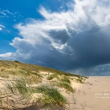 Tiny House Holland Holiday home Oudesluis (North Holland)