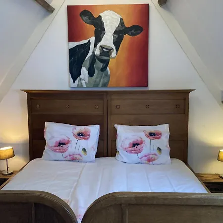 Tiny House Holland Holiday home Oudesluis (North Holland)