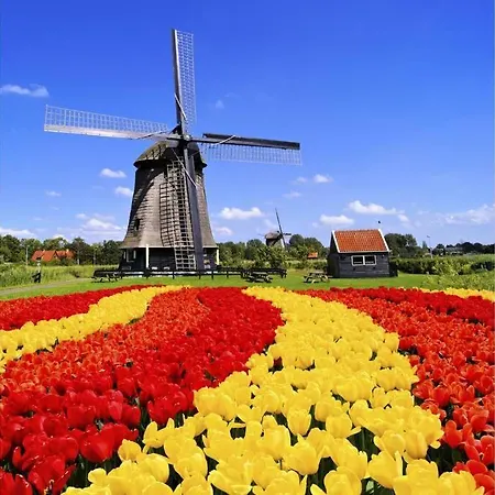 Tiny House Holland Hotel Oudesluis (North Holland)